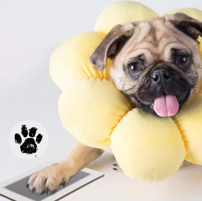 Pawsome Memories-Print Ink Kit